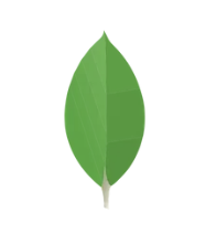 MongoDB